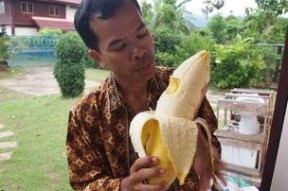 大香蕉国产成人