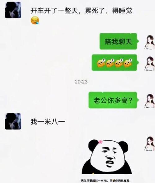 吃瓜怎么幽默回复,幽默回复大盘点