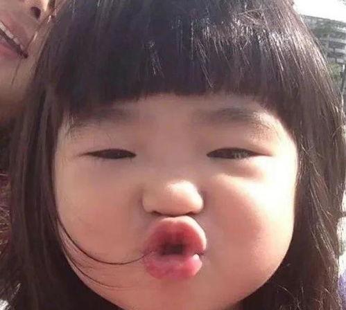 二哈吃瓜娱乐圈小说,娱乐圈的欢乐盛宴