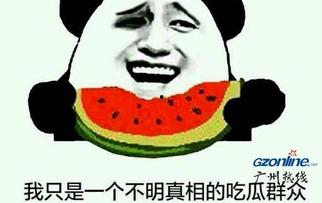 吃瓜大王是什么意思,网络热词背后的文化现象