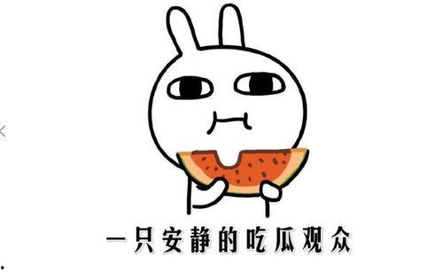 吃瓜大王是什么意思,网络热词背后的文化现象