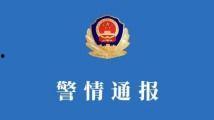 1024在线国产,构建国产软件新格局